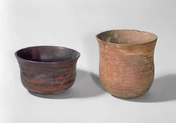 Deux vases campaniformes (poterie)